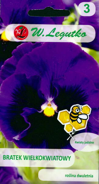 Garden pansy "Bergwacht"