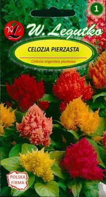 Cockscomb plumed "Liliput Mix"