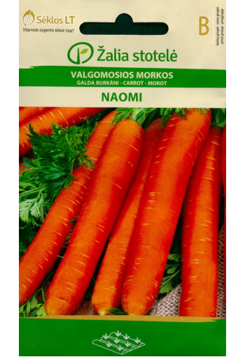 Carrot "Naomi"