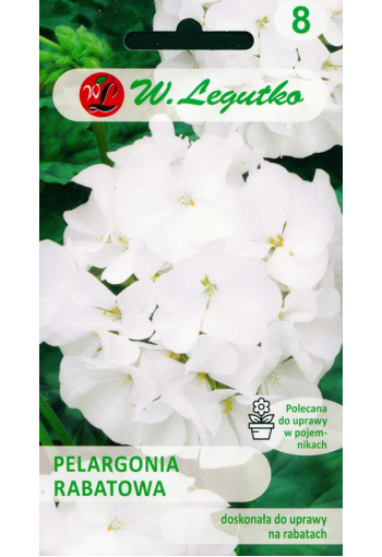Horseshoe pelargonium "White" F1