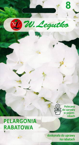 Horseshoe pelargonium "Gama White" F1