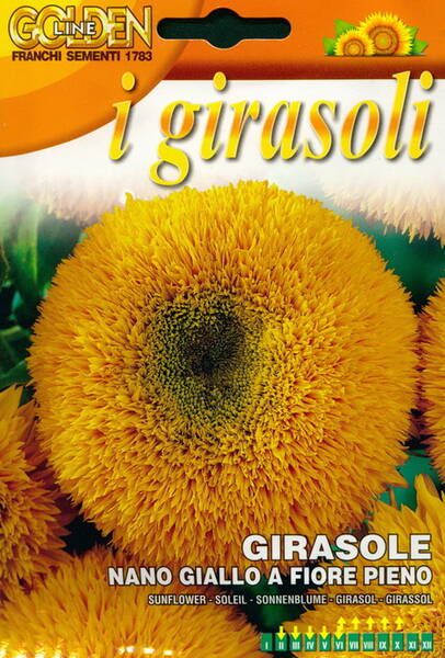 Sunflower "Nano Giallo a Fiore Pieno"