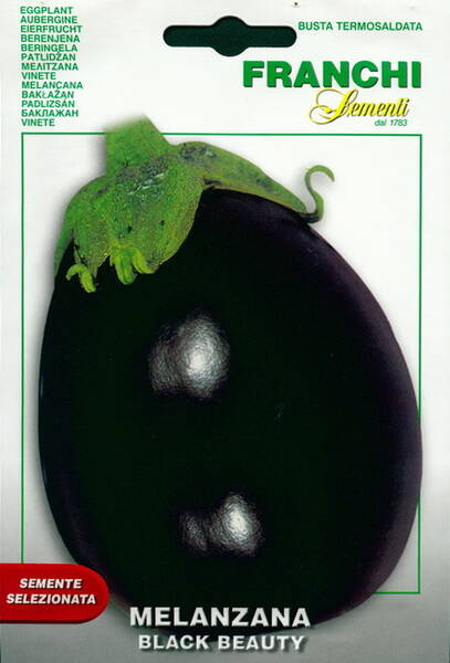 Eggplant "Black Beauty"