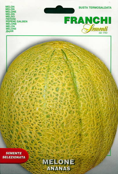 Sockermelon "Ananas"