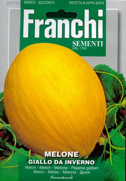 Melon "Giallo Da Inverno"