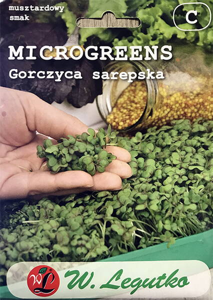 Sarepta sinappi microgreens