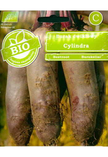 Red beet "Cylindra" (bio)