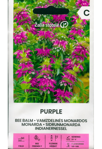 Monarda "Purple"​​​​​​​ (sidrunmonarda)