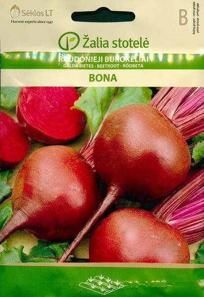 Beetroot "Bona"