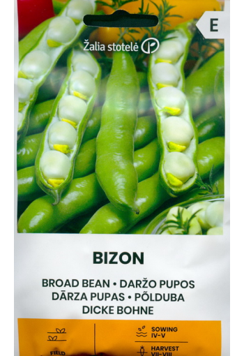 Broad bean "Bizon"