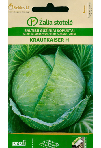White cabbage "Krautkaiser" F1