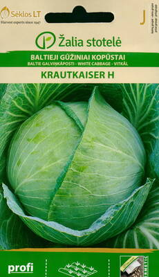 White cabbage "Krautkaiser" F1