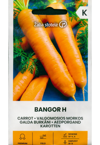 Carrot "Bangor" F1