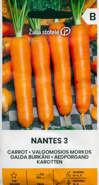 Porkkana "Nantes 3"