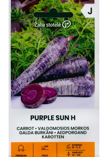 Морковь "Фиолетовое Солнце" F1