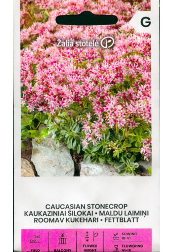 Caucasian stonecrop (Tworow stonecrop)