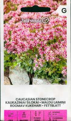 Caucasian stonecrop (Tworow stonecrop)