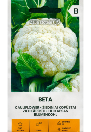 Cauliflower "Beta"
