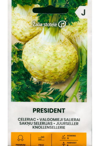 Celeriac "President"