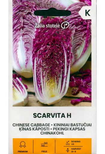 Chinese cabbage "Scarvita" F1