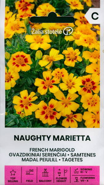 Peiulill ahtalehine "Naughty Marietta"