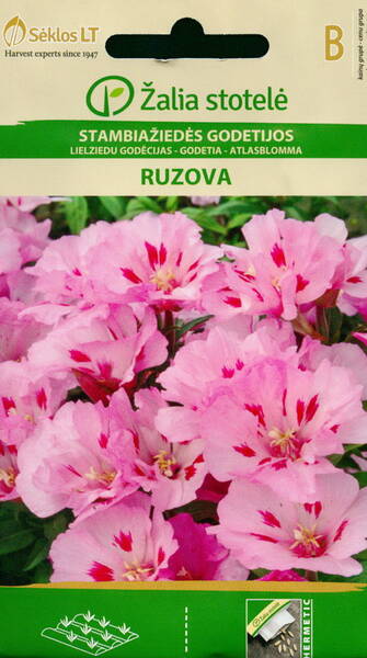 Годеция крупноцветковая "Ruzova"