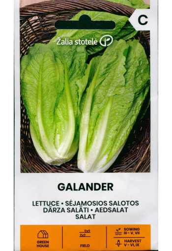 Cos lettuce "Galander"
