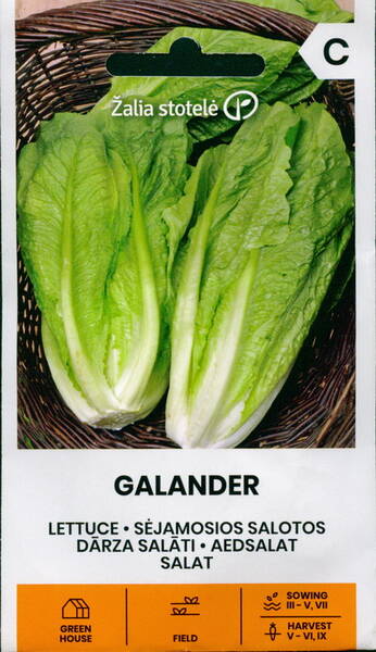 Romersksallat "Galander"