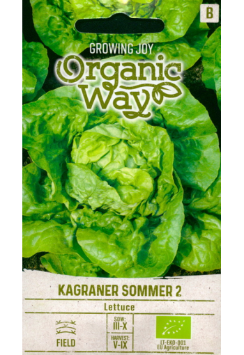 Lettuce head "Kagraner Sommer 2" (eco)