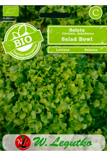 Lettuce "Salad Bowl" (oak-leaved)