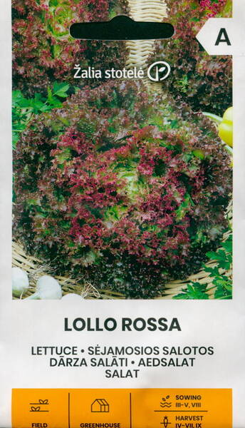 Bataviasallat "Lollo Rossa"