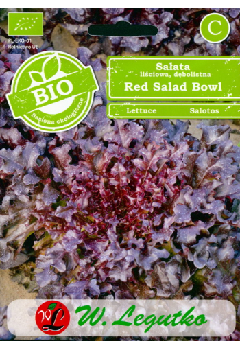 Oak-leaved lettuce "Red Salad Bowl"