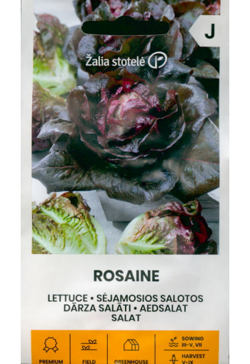 Roman lettuce "Rosaine" (Cos lettuce)