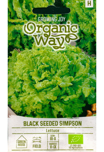 Lehtsalat "Black Seeded Simpson"