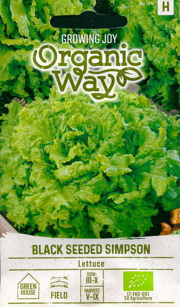 Lettuce "Black Seeded Simpson"