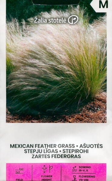 Svansfjädergräs "Mexican Feather Grass"