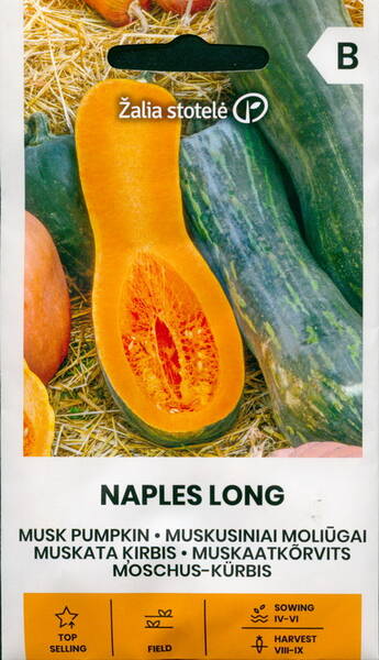 Muskaatkõrvits "Naples Long" (Butternut tüüpi)