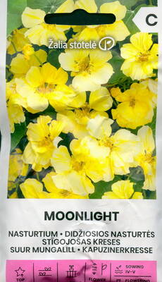 Nasturtium "Moonlight"