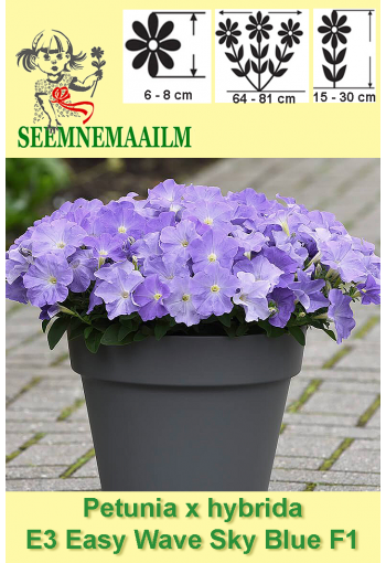 Petunia  "Easy Wave Sky Blue" F1