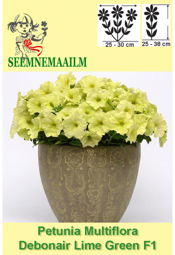 Petunia "Debonaire Lime Green" F1