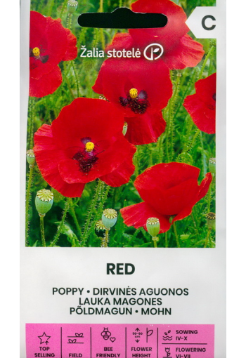 Long headed poppy "Red" (blindeyes)
