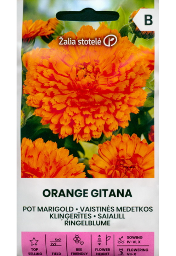 Kehäkukka "Orange Gitana"