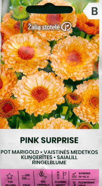 Ringblomma "Pink Surprise"