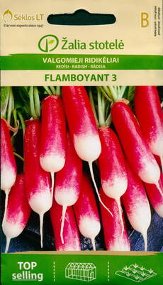 Radish "Flamboyant 3"