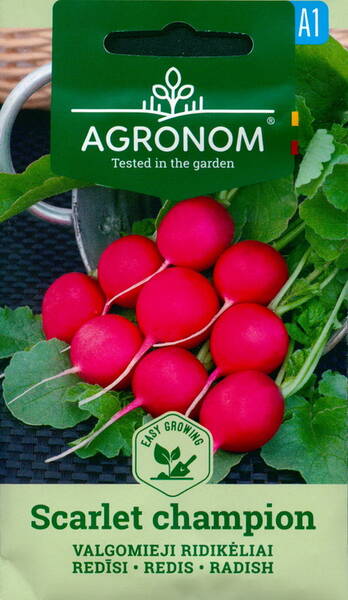 Radish "Scarlet Champion"