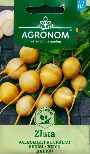 Radis « Zlata »