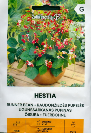 Rosenböna "Hestia"