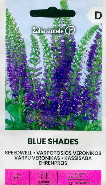 Speedwell "Blue Shades"