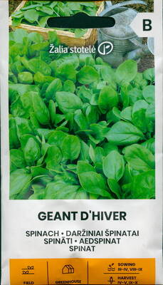 Spinat "Geant D Hiver"