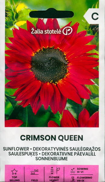 Sunflower "Crimson Queen"